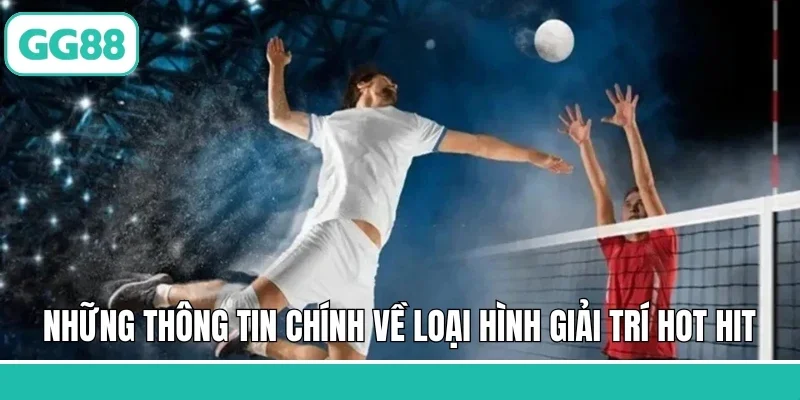 Những thông tin chính về loại hình giải trí hot hit